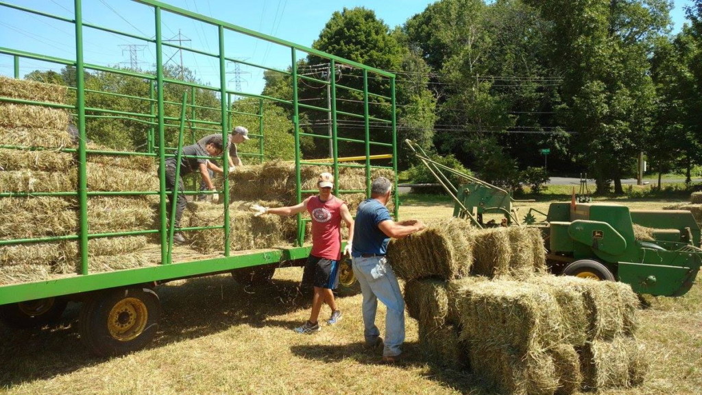 Seminarians load bales of hay.